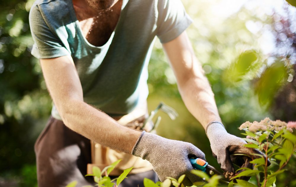 Cum să îți folosești uneltele de grădinărit pentru a realiza diverse lucrări și proiecte în grădina ta