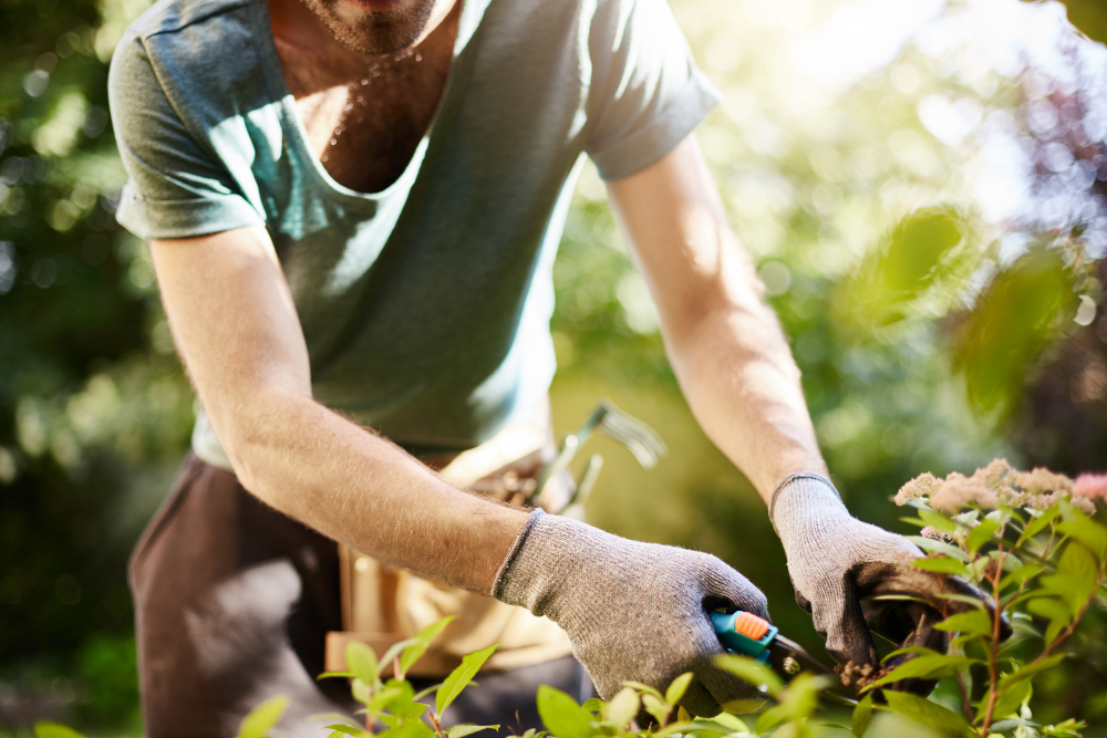 Cum să îți folosești uneltele de grădinărit pentru a realiza diverse lucrări și proiecte în grădina ta