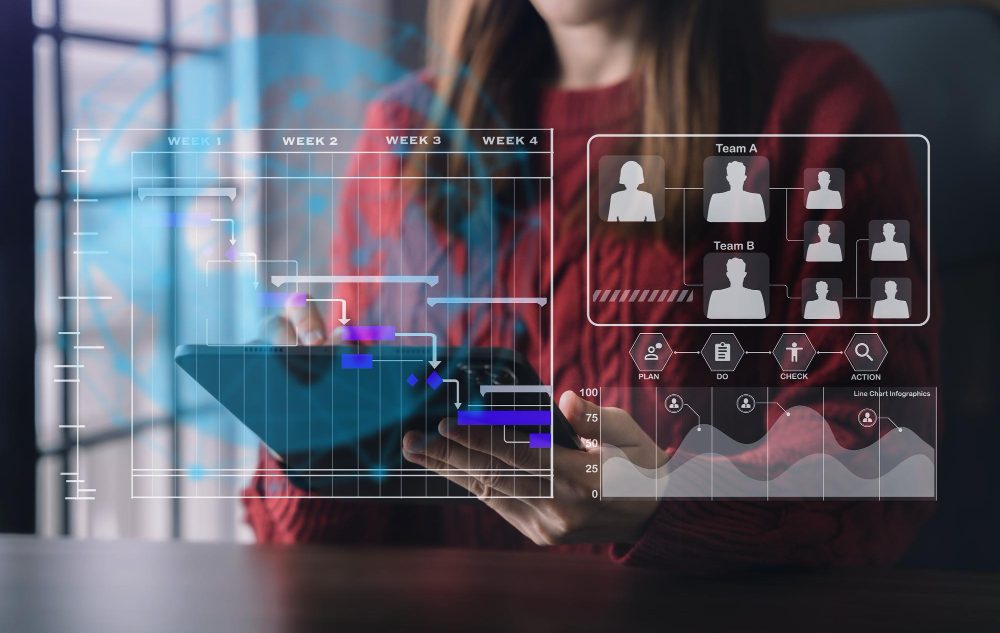 Software HR și payroll utilizat pentru administrarea proceselor de salarizare