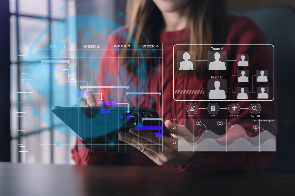 Software HR și payroll utilizat pentru administrarea proceselor de salarizare